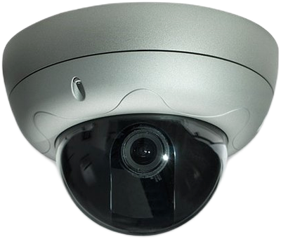 IP-камера Intellinet Pro Series Network Dome (0766623550406)