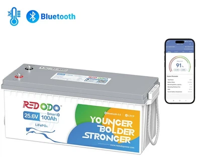 Акумулятор Redodo LifePO4 24В 100Аг 2560Вт год Bluetooth