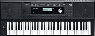 Синтезатор Kurzweil KP100 (283682)