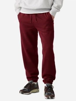 Спортивні штани чоловічі утеплені Levi`s 199315923 XL Бордовий (1159864988)