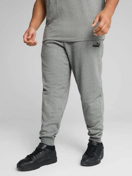 Спортивные штаны утеплённые мужские Puma Essentials Foundation 68264203 S Medium Gray Heather (4067983594144)