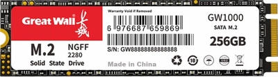SSD диск Great Wall GW1000 256GB M.2 SATA