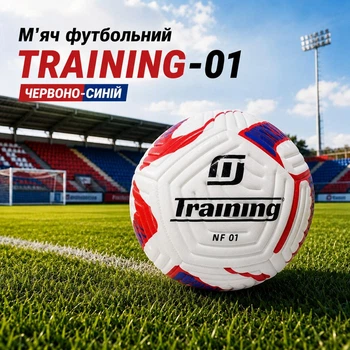 Футбольний м'яч TRAINING NF-01 №5 160820