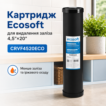 Змінний елемент Екософт Big Blue 20 для видалення заліза
