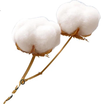 Салфетки для лица PurCotton хлопковые 100 листов×36 упаковок 100% хлопок одноразовые 20×20см