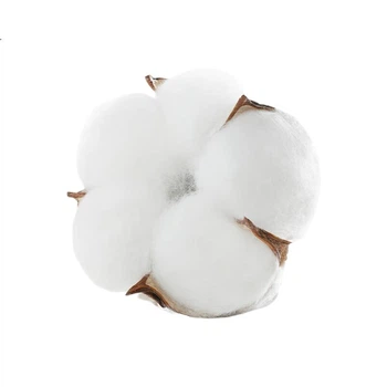 Салфетки влажные PurCotton, хлопок 100%, для лица, 70 листов*3 рулона