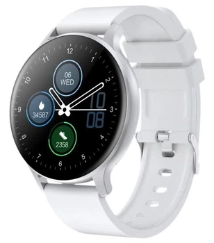 Смарт-часы Canyon SW-68 "Badian", Silver (CNS-SW68SS)