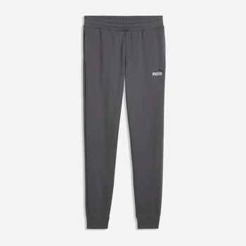 Спортивные штаны мужские Puma Essentials Seasonal 68471477 S Moody Gray (4070033474822)