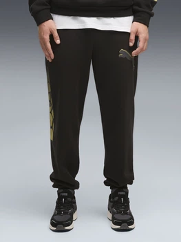 Спортивные штаны утеплённые мужские Puma Sport Street 69431901 S Black (4070033378144)