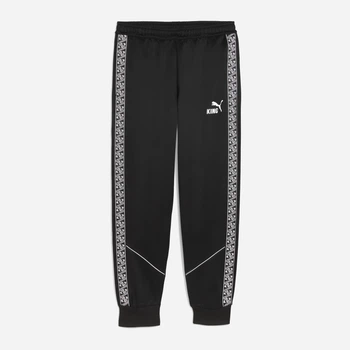 Спортивные штаны мужские Puma Teamking 66053503 S Black-White-Black (4069157144131)
