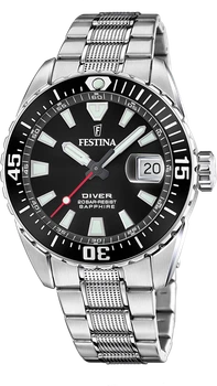 Часы мужские FESTINA F20669/3 The Originals