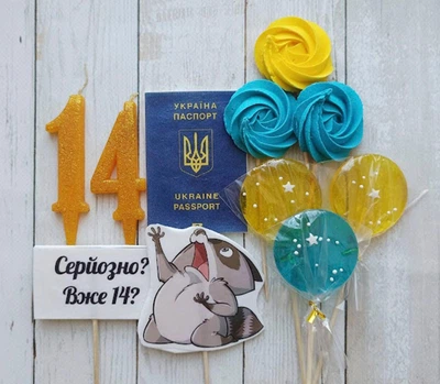 Єнот і паспорт цукрово-вафельні топери для торта на мастиці набір для хлопчика / дівчинки зі свічками 11 елементів