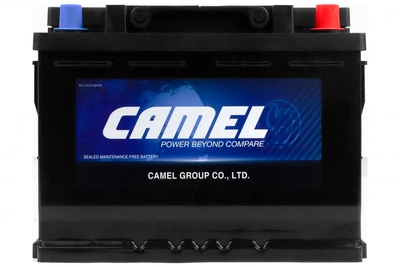 Акумулятор CAMEL 12V 74AH 680A R+ 278*175*190 мм 57220