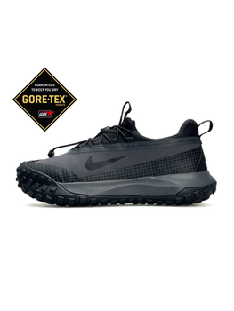 Кросівки ACG Mountain Fly Low GTX Dark Grey (43) А4676-1263743