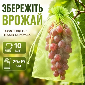 Сетка-мешочек для защиты винограда и фруктов от ос и птиц, 29×19 см, 10 шт