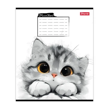 Зошит учнівський Little cat 1B 768734 12 аркушів Різнокольоровий shop (4823133108957)