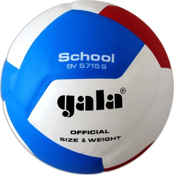 Мяч волейбольный Gala School 12 (BV5715SB)