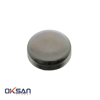 Заглушка блока цилиндров Chevrolet Aveo 2011 34mm [ OKSANPAR ] 4039970420