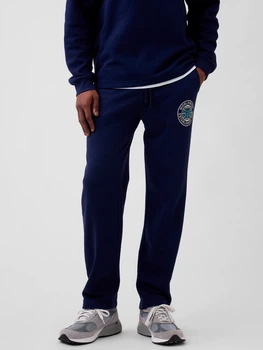 Спортивные штаны утепленные мужские GAP 263486863 L Синие (1160026157)