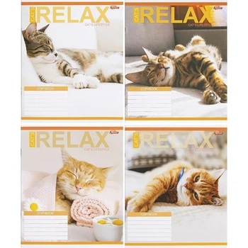 Тетрадь школьная Relax Cats в клетку на 18 листов комплект 20 штук цветная тетрадка для учебы и записей с ярким принтом котиков