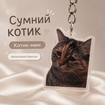 Акриловый брелок Котик-мем Грустный котик 4х3,5 см