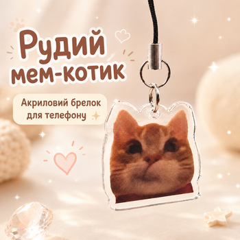 Акриловый брелок для телефона Рыжий кот мем 3х3 см