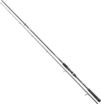Спінінг Daiwa Prorex S Spin 2.4 м 15-50 г (11282-242)