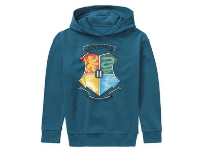 Худи двунитка для мальчика Disney Harry Potter 423827 158-164 см (12-14 years) Синий