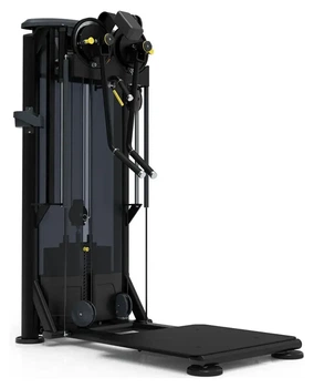 Грудні мʼязи стоячи Impulse Evolution IT9537 (SPT_IT9537)