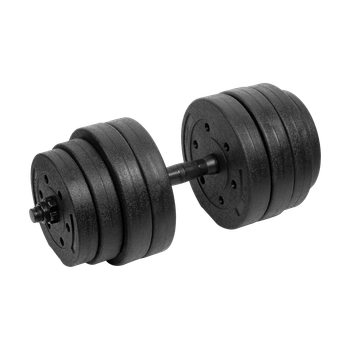 Регульовані бітумні гантелі Rebel Active 1x20 кг