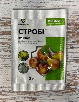 Фунгіцид Стробі 2г, ProtectOn