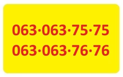 Пара 063-063-7x-7x золотые номера Лайфселл lifecell