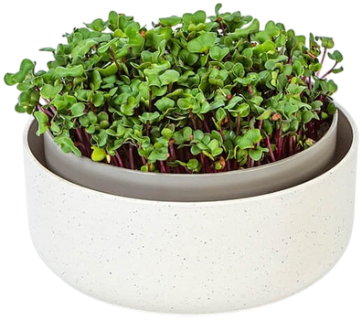 Вазон для вирощування мікрозелені Urbalive MICROGREENS 1606711640