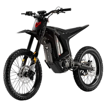 Електромотоцикл Arctic Leopard CLOUDED XE PRO gold S Black