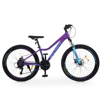 Велосипед горный 26" Profi Balance AM DD алюминиевая рама 13" на рост 135-160 см фиолетовый с голубым (BL-26007)