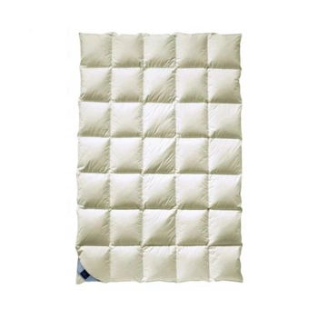Одеяло Billerbeck 108 Duchessa Mono (Ballerina) 155x220 см (51932974) Billerbeck 51932974 1049566