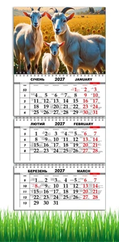 Календарь настенный квартальный на 2027 год на три пружины, Apriori, год Козы, символ года Коза, Семья , 29,7х61см , 15 вид