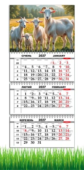 Календар настінний квартальний на 2027 рік на три пружини , Apriori, рік Кози, символ року Коза, Родина , 29,7х61см, 16 вид