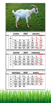 Календарь настенный квартальный на 2027 год на три пружины, Apriori, год Козы, символ года Коза, 29,7х61см , 28 вид