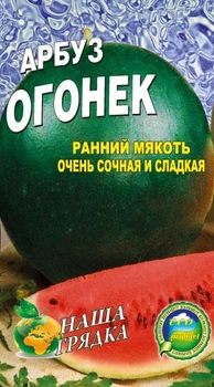 Насіння Кавун Огонек 20шт