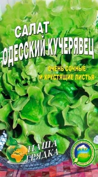 Насіння Салат Одесский кучерявец - 10г