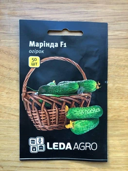 Насіння Огірок МАРИНДА 50шт.