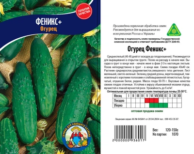Насіння Огірок Феникс плюс 70шт