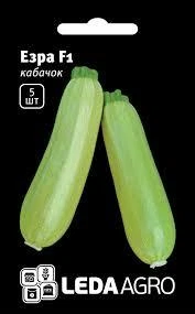 Насіння КАБАЧОК ЭЗРА 5ШТ \САЛАТНЫЙ\