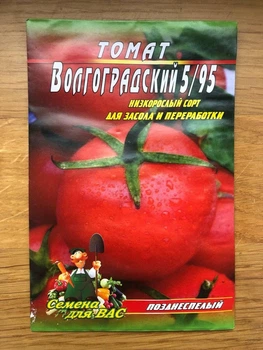 Насіння Томат Волгоградский 5/95 - 100шт