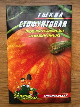 Насіння Гарбуз Стофунтовая 20шт