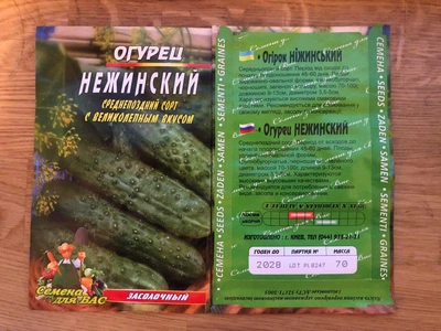 Насіння Огірок Нежинский 30шт 2