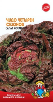 Насіння Салат ЧУДО 4-х СЕЗОНОВ – 3г.