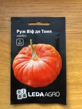 Насіння ТЫКВА РУЖ ВИФ ДЭТАМП 5ШТ