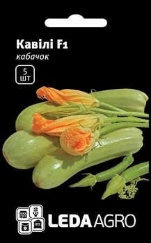 Насіння КАБАЧОК КАВИЛИ 5ШТ